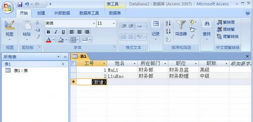 Access2007“数据表视图”