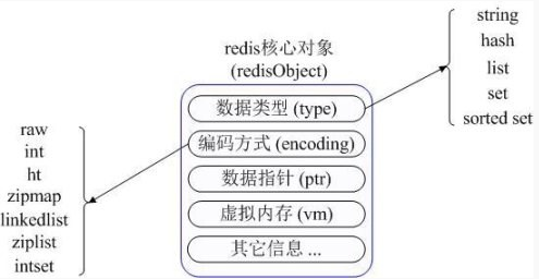 redisObject最主要的信息如图所示