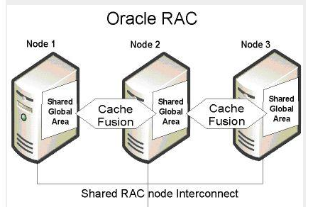 ·ToadforOracle是一款老牌的Oracle开发管理工具，比任何一款Oracle开发管理工具功能更多，并针对使用者不同的角色有多个分支版本。版本包括：ToadDBASuiteforOracle是一款专门为OracleDBA管理Oracle数据库工具,ToadDevelopmentSuiteforOracle是一款专门为Oracle开发工具，ToadDBASuiteforOracle–ExadataEdition是一款专门为OracleExadata一体服务器及Oracle数据库管理工具,ToadDBASuiteforOracle-RACEdition是一款专门为Oracle搭建集群RAC的DBA管理工具