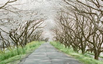 专家教你利用思易ASP木马追捕入侵站点方法