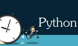 代写python编程