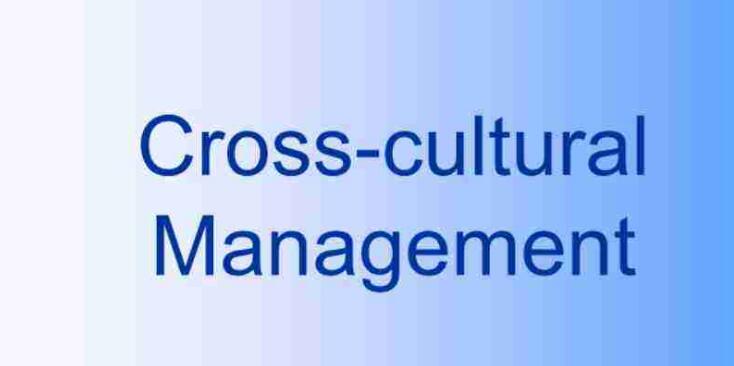 Cross-Cultural Management代写